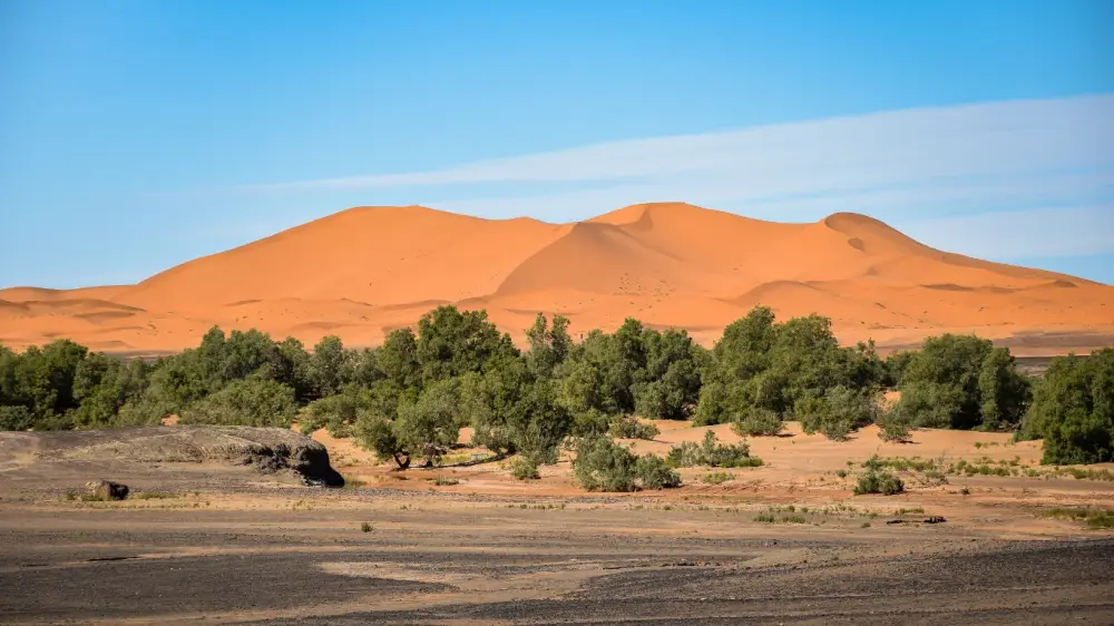 2 DAYS DESERT TOUR FROM OUARZAZATE TO FES